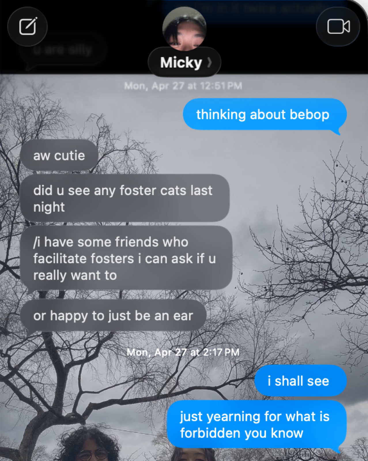 Texts about thinking about Bebop.